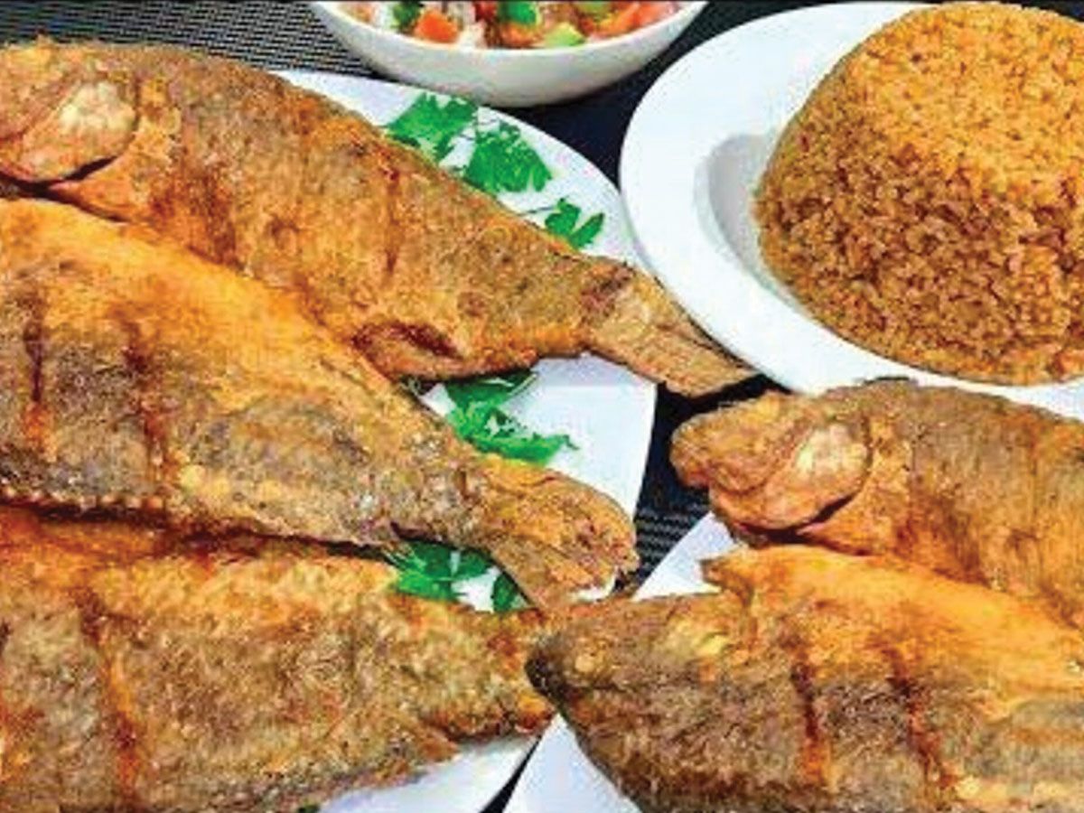 Langosta special meal