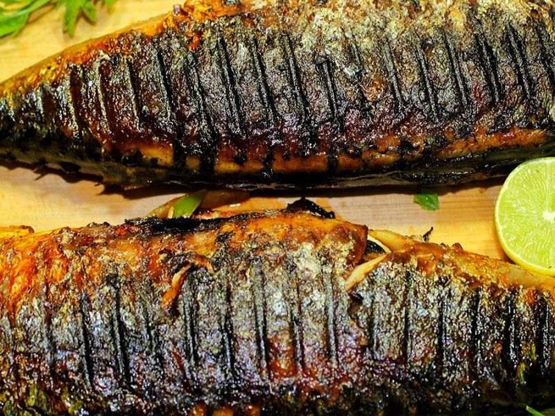 Mackerel Meal
