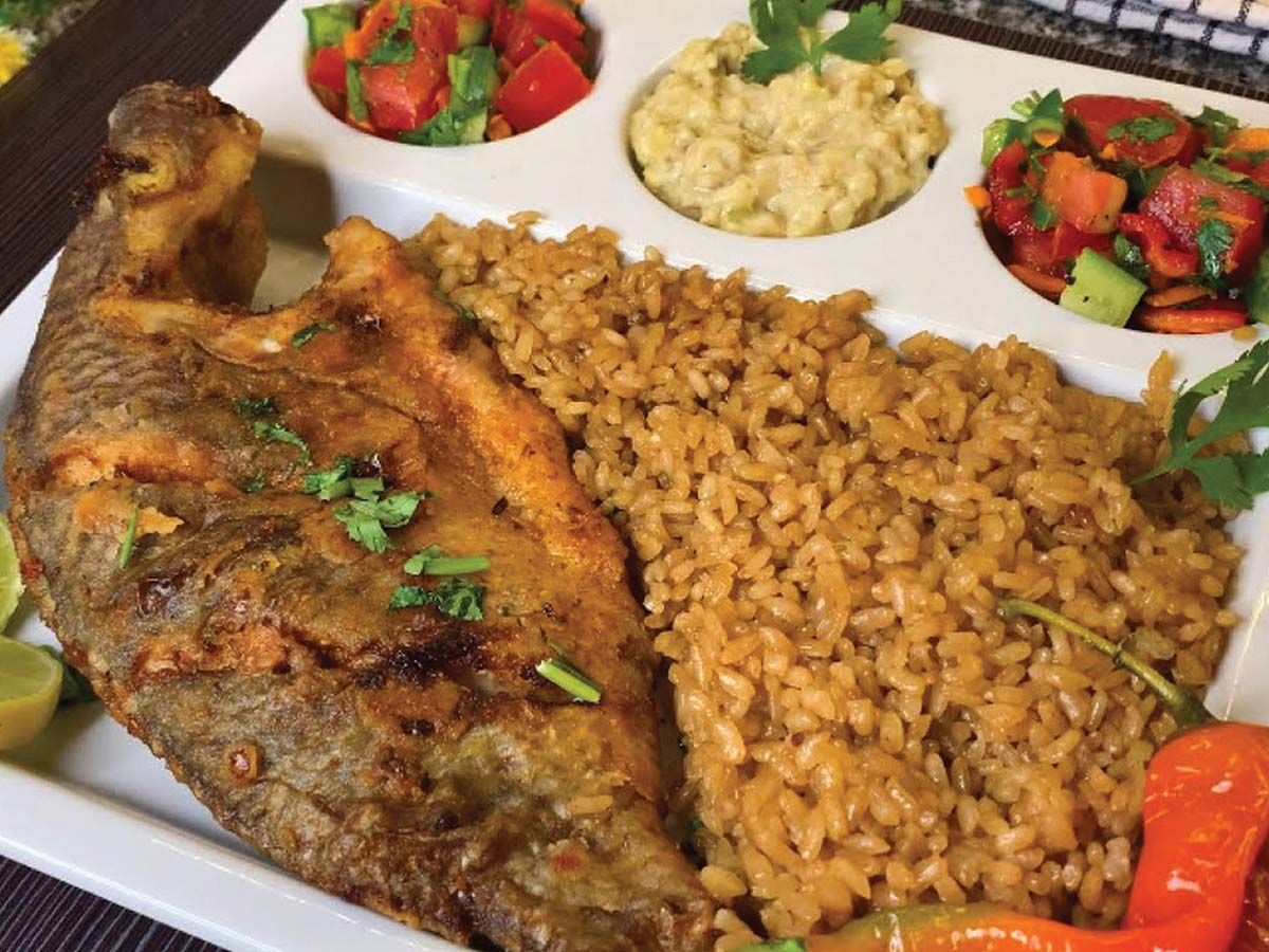 Tilapia meal
