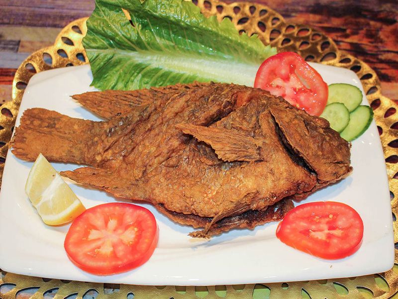 Tilapia Fish Meal