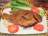 Tilapia Fish Meal