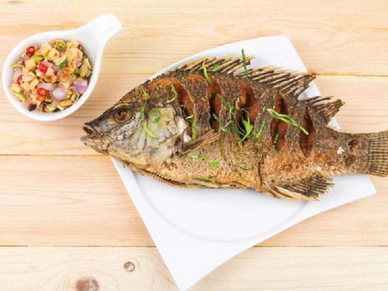 Tilapia Fish Meal
