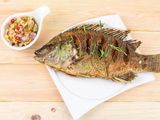 Tilapia Fish Meal