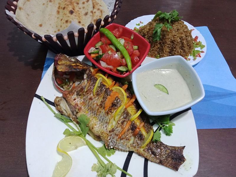 Tilapia Fish Fish Meal