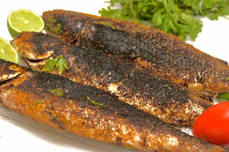 Grey Mullet Fish Meal