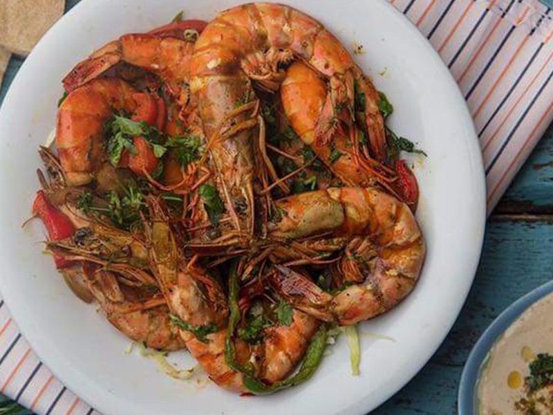 Shrimp Meal