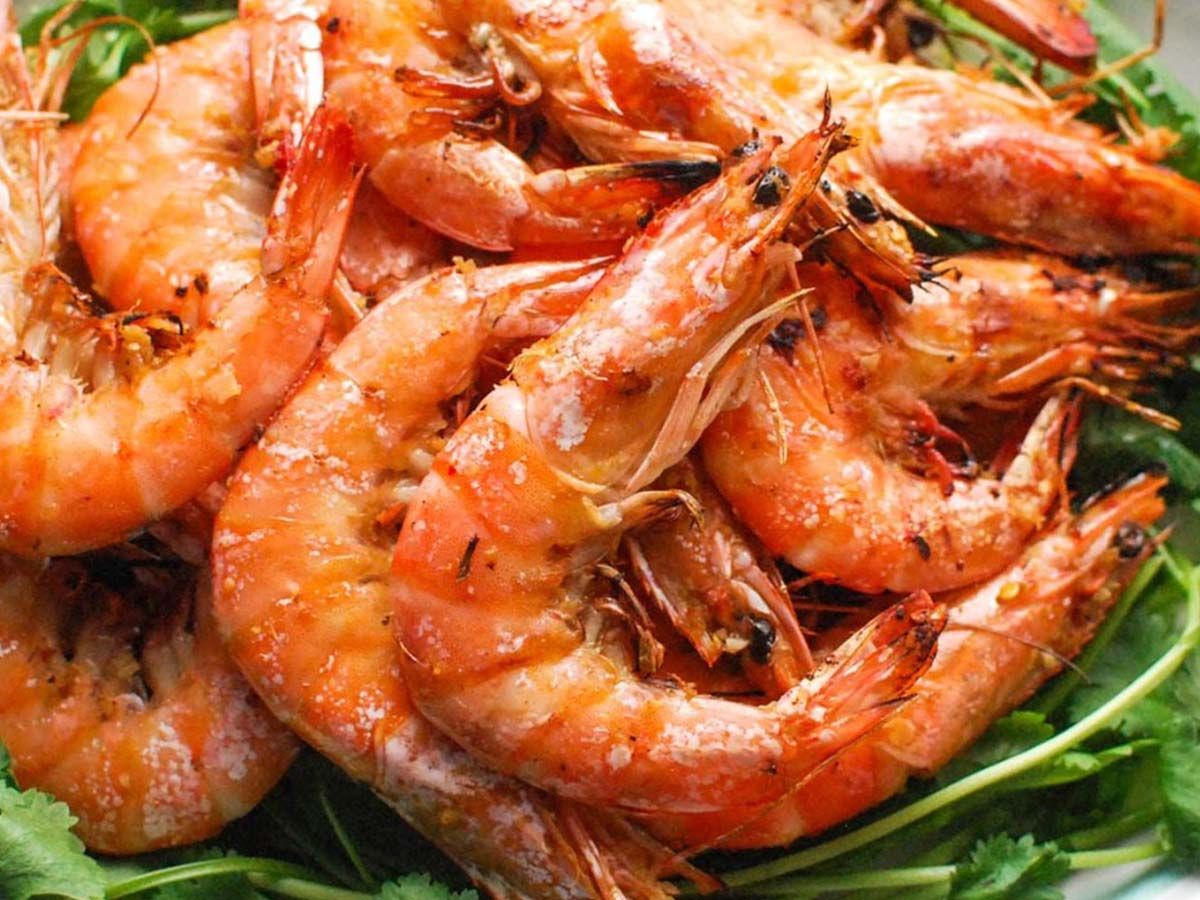 shrimp meal