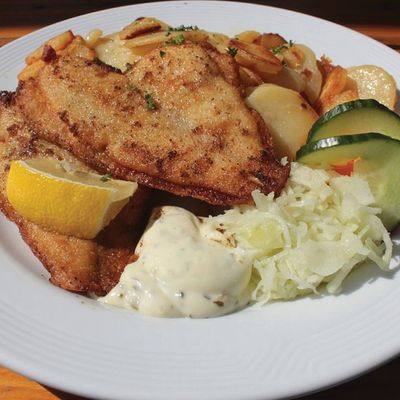 Fish Meal Fillet