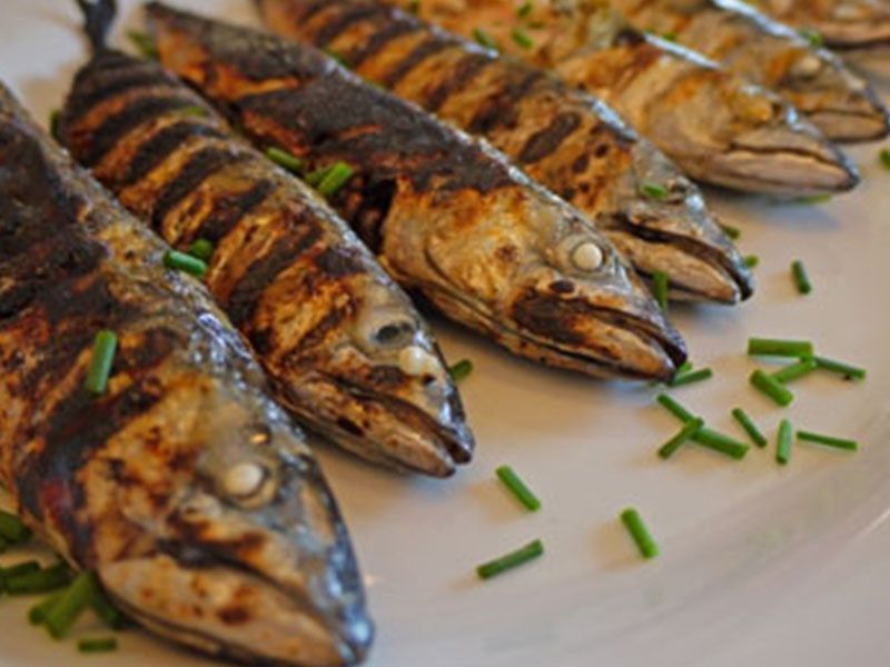 Mackerel Meal