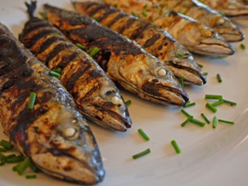 Mackerel Meal