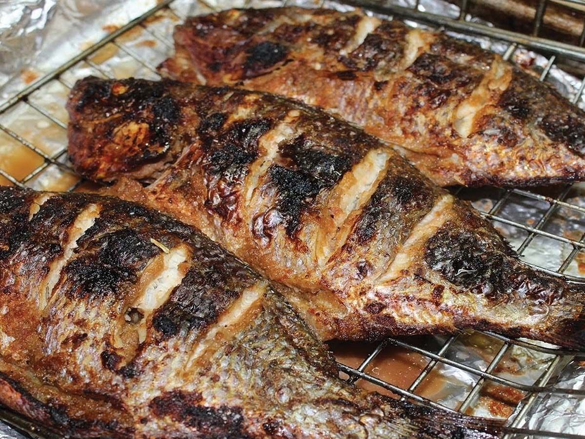 Mix Grey Mullet meal