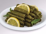 Vine Leaves Leaves