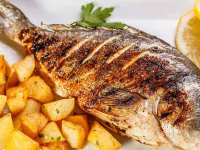 Grouper Fish