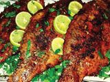 Grouper Fish