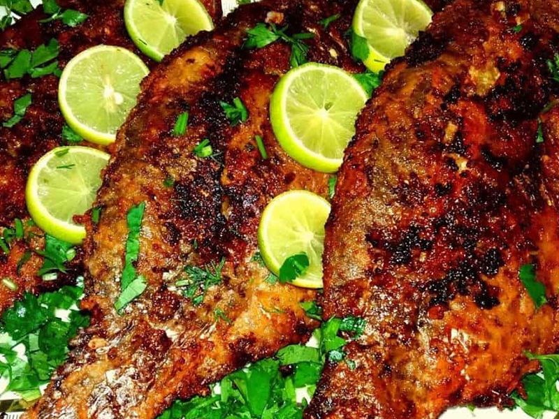 Grouper Fish