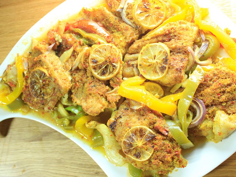 Singary Grouper Fish
