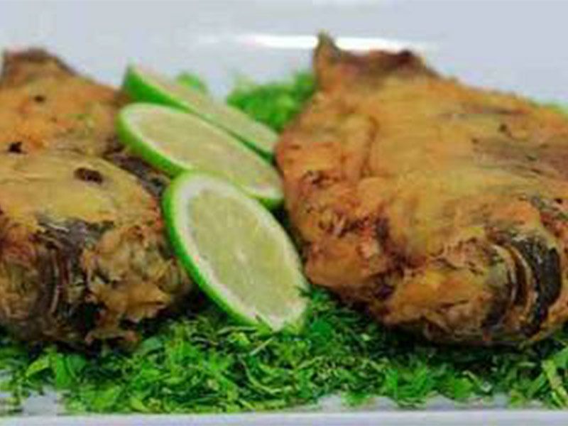 Grouper Fish