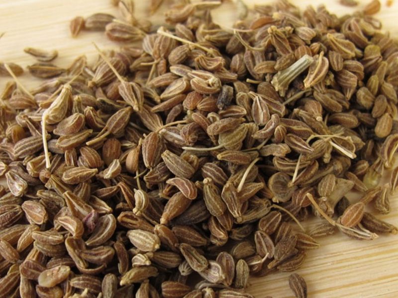 Anise