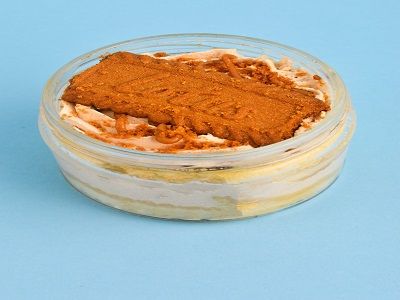 Lotus Jar