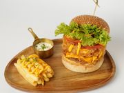 كريسبي دريم زنجر