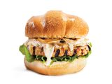 Alfredo Chicken Burger Sandwich