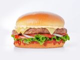 Basic Burger Sandwich