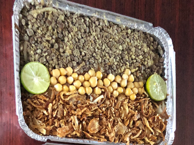 Hadya Koshary Foil