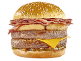 Onion Burger Sandwich