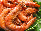 Medium Shrimp