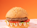 Classic Beef Burger Sandwich