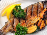Grey Mullet Fish