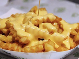 Cheddar Sauce Fries