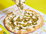 Plain Thyme Manoucheh