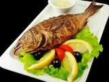 Gilthead Bream Fish