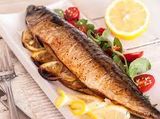 Mackerel Fish