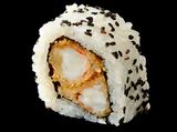 ura shrimp
