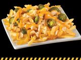 loaded fries