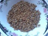 Lentil