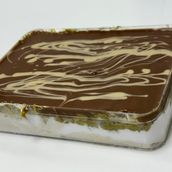 الهبة الجديدة 