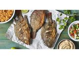 Tilapia Fish Meal