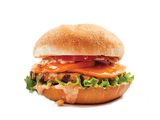 Squeeze Chicken Burger Sandwich