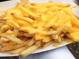 Mozzarella French Fries
