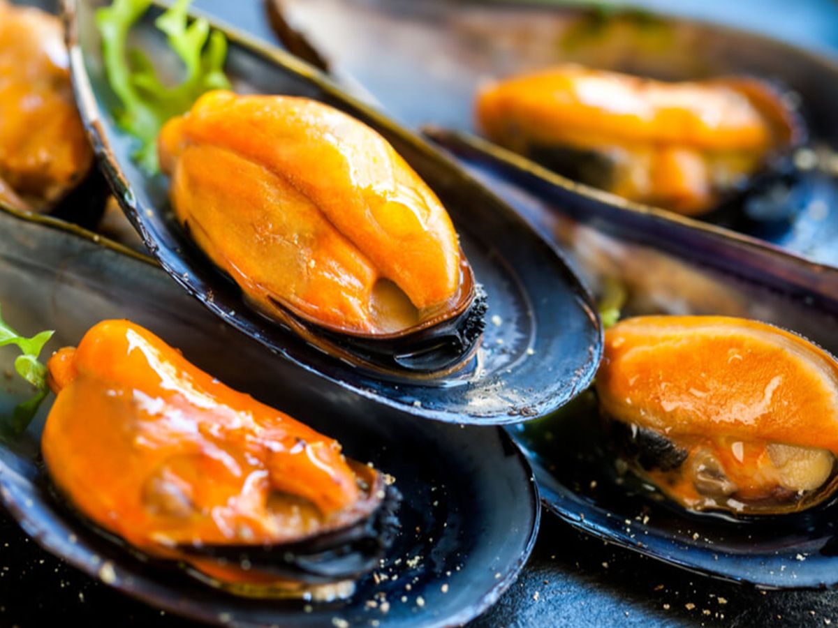 Alexandrian Mussels 1 Kilo