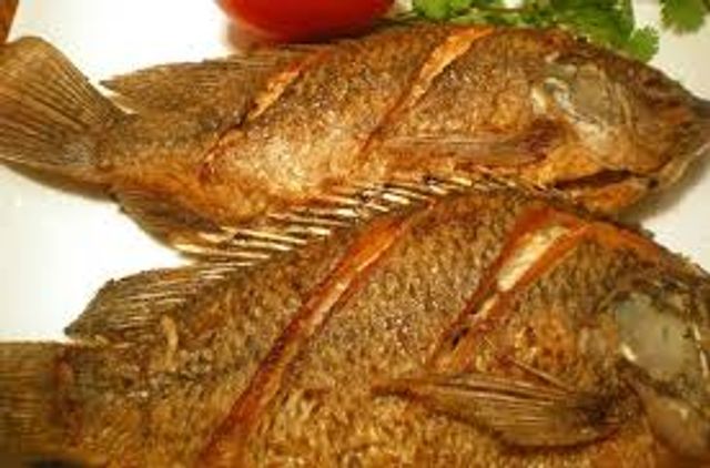 Tilapia Fish Meal