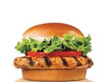 Chicken Grill Burger
