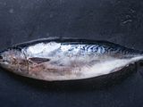 Tuna Fish