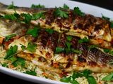 Eel Fish