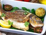 Gilthead Bream Fish