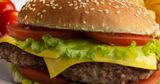 Mozzarella Cheese Burger Sandwich