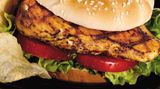 Grilled Chicken Breasts Sandwich